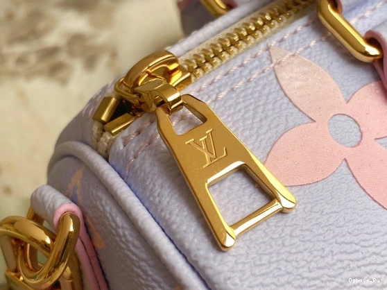 LOUIS PAPILLON BB VUITTON 0310